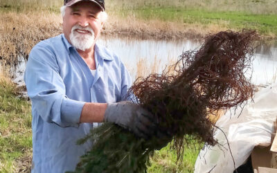 Conservation Farmer