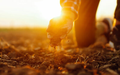 Protecting the Soil